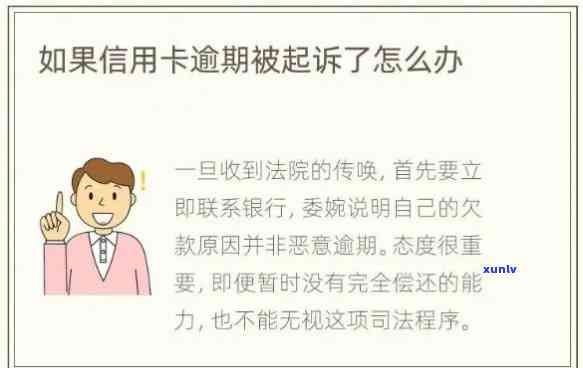 普洱茶与玫瑰花泡水的全面功效：改善健、美容养颜与调节心情的综合指南