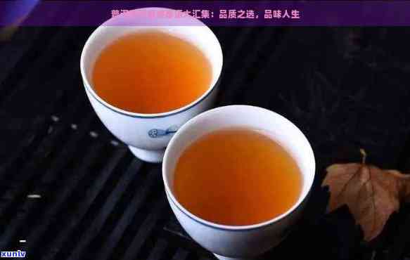 临沧普洱茶传标语：品茗临沧，品味人生。