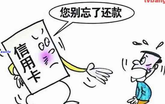 信用卡逾期：家人签字是否能有效应对及影响？——合法指南与实用资讯