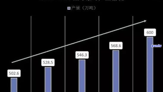 普洱茶行业全景解析：从市场现状、消费者行为到未来发展趋势的全方位探讨