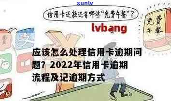 信用卡逾期后的办法：2022年逾期流程与自救指南