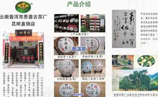 云南普洱茶批发茶叶加盟： *** 、费用、推荐，开店信息一网打尽