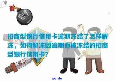 招行信用卡逾期冻结还款：影响、处理与解冻全解析