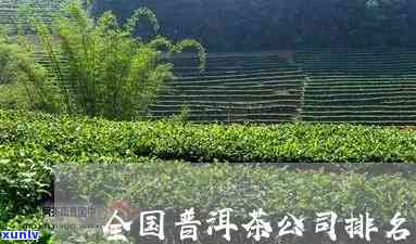 州普洱茶生产厂商名单公示与查询：最全指南