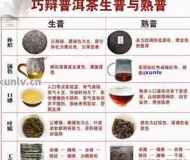 普洱茶：茶叶类别还是其他？解答关于普洱茶的分类和特性问题