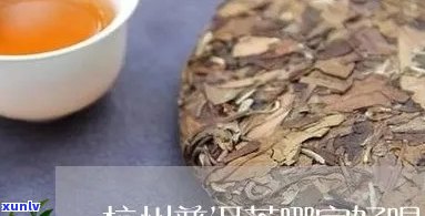 杭州普洱茶排行前十：杭州普洱茶交易中心，哪个好？