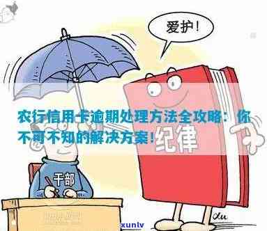 农行信用卡逾期处理全攻略：如何应对、解决办法和预防措一文看懂！