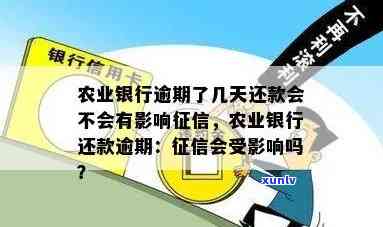 农业银行信用卡逾期还款政策：最多几天不影响信用记录？