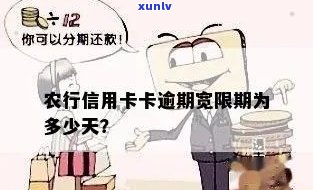 农行信用卡逾期还款宽限期及最长时间限制：了解逾期还款的完整信息