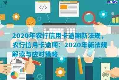 2020年农行信用卡逾期新法规：全面解读、影响与应对策略