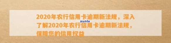 2020年农行信用卡逾期新法规：全面解读、影响与应对策略