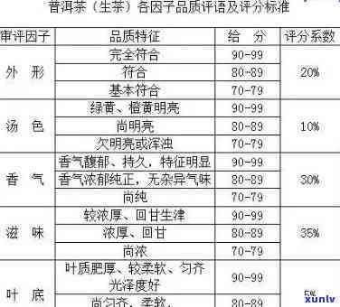 悠味普洱茶测评分析报告总结：详尽品鉴与解析