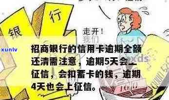 新信用卡还款逾期，银行是否会全额清收？