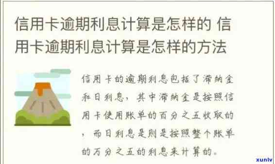 中国信用卡逾期分期利息计算 *** 与实际案例分析