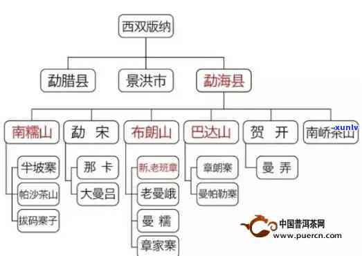 普洱茶四大茶区详解：从产地、品质到文化一应俱全