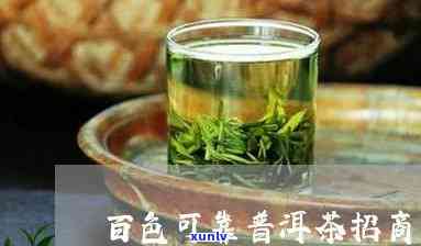 百色普洱茶招商