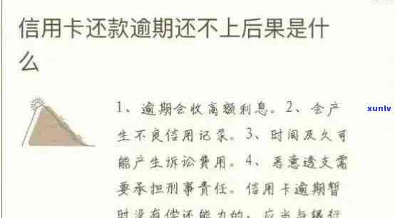 阳哥信用卡逾期还款全攻略：如何规划还款计划、解决逾期后果及避免逾期