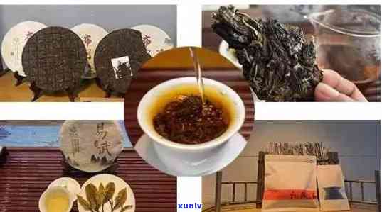 普洱茶存放一年时光能喝吗-普洱茶存放一年时光能喝吗有吗