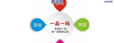 全面解析：成功成为知名普洱茶 *** 商的关键条件与要求