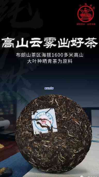 新 明山八角亭普洱茶标杆级口感与风味研究