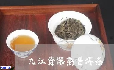 九江高端普洱茶招商