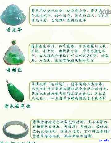 逾期能改名吗：揭秘逾期记录对改名的影响及解决 *** 