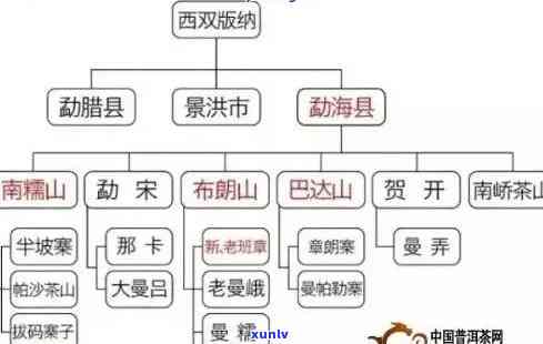 普洱茶特点全面解析：从历、工艺到口感，一文告诉你哪款最适合你