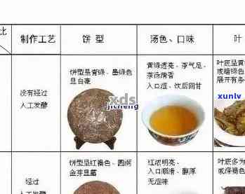 普洱茶特点全面解析：从历、工艺到口感，一文告诉你哪款最适合你