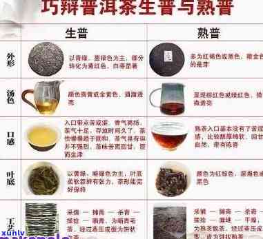 普洱茶：属于黑茶还是其他类型？解答关于普洱茶的分类疑问