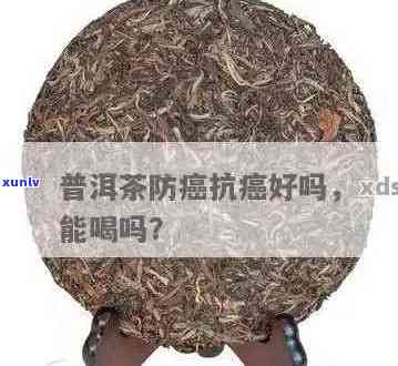 癌症能喝普洱茶吗好吗？癌症病人可以喝普洱茶吗？