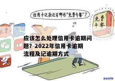 翡翠福豆多厚为好看：尺寸、寓意与象征