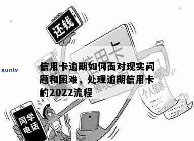 2022年应对逾期信用卡的有效策略和实践指南