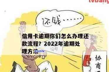 2022信用卡逾期处理办法