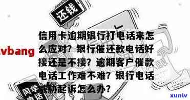 拜泉县信用卡逾期还款 *** 号码、处理方式及如何避免逾期的全面指南