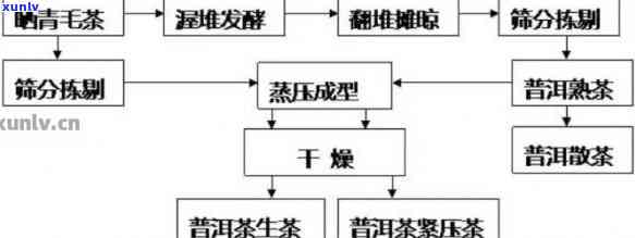 普洱茶之：陈年普洱茶的 *** 工艺、历背景与品鉴技巧全方位解析