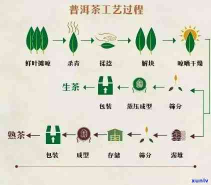 普洱茶之：陈年普洱茶的 *** 工艺、历背景与品鉴技巧全方位解析