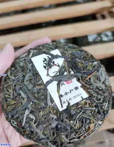 普号普洱茶：品质越，口感独特的冰岛古树茶叶佳品