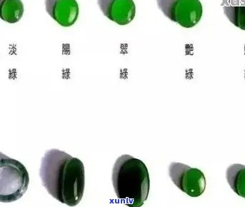 菠菜绿翡翠：高档货？品质如何？价格是否合理？