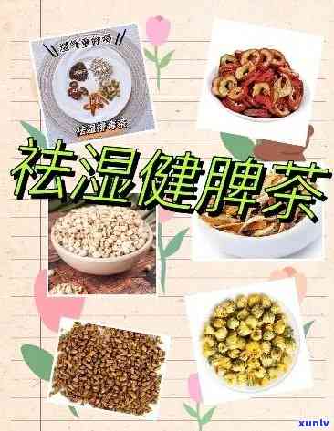 去湿气的茶：健脾去寒去湿的茶饮推荐与解析