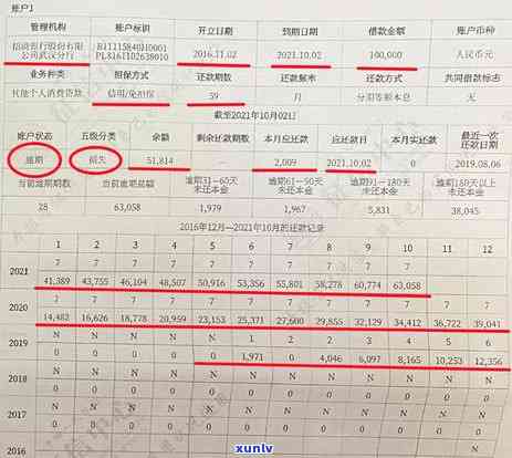 信用卡逾期还款等级划分解析：五级标准与信用影响的深度探讨