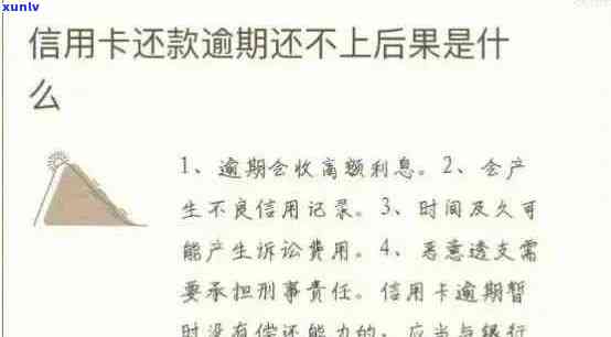 信用卡逾期还款等级划分解析：五级标准与信用影响的深度探讨