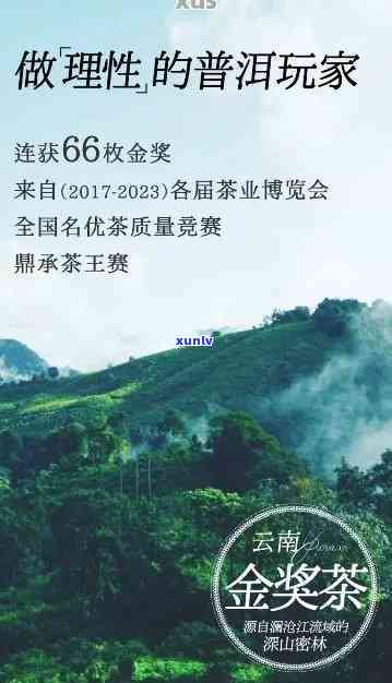 普洱金雀生态茶：致力于打造绿色、有机的普洱茶