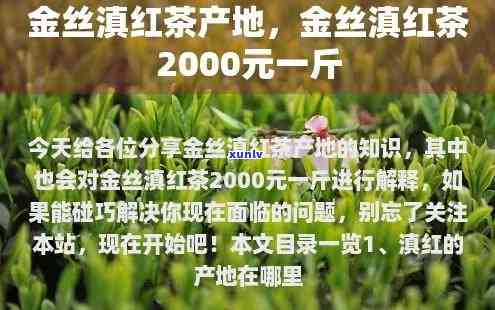 云南金丝滇红茶多少钱一斤：2000元每斤，了解最新价格