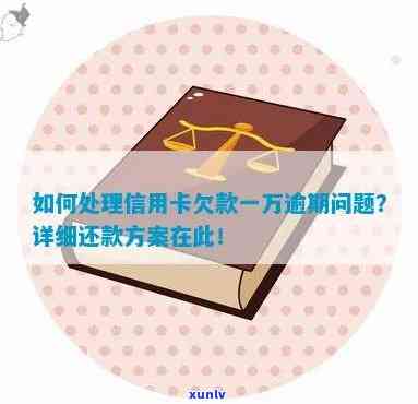 信用卡欠款10000元逾期不还款，解决 *** 和后果分析