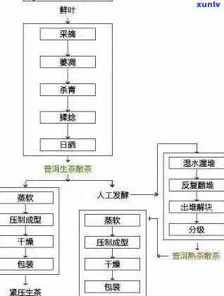 '河南普洱茶怎么 *** 加工产品：全流程解析与 *** 指南'