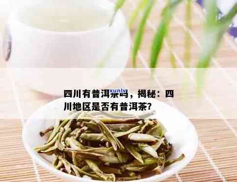 普洱茶可以和什么配着喝