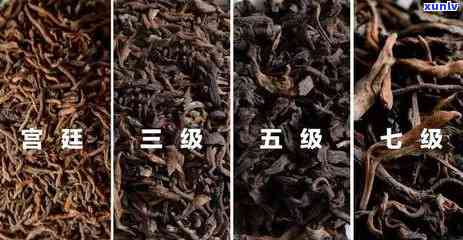 云南滇红茶：品味独特，鉴别有道，你真的了解吗？