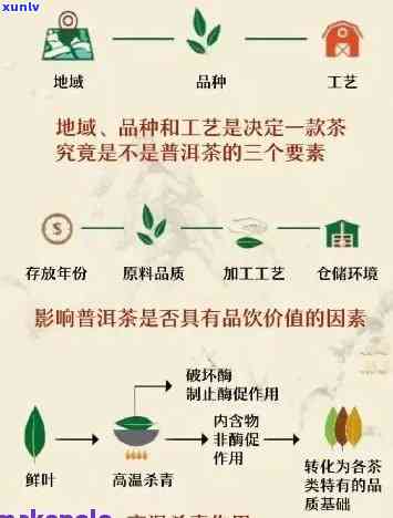 云南丽江润德祥普洱茶：品质、产地、 *** 工艺及泡法全方位解析