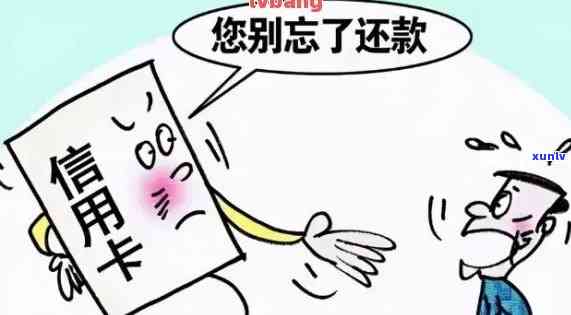 逾期还款：信用卡问题解答