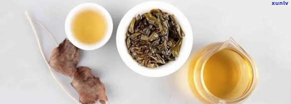 普洱茶饮用量：四适宜的冲泡 *** 与茶叶比例